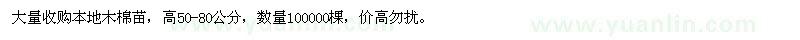 求購高50-80公分本地木棉苗