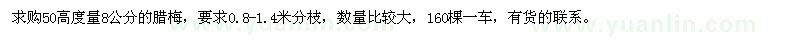 求購50高量8公分臘梅