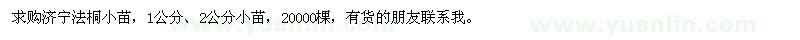 求購(gòu)1-2公分法桐小苗