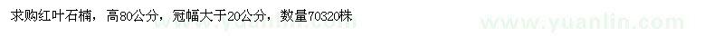 求購高80公分紅葉石楠