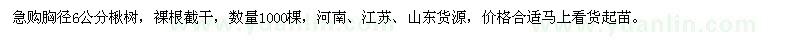 求購胸徑6公分楸樹