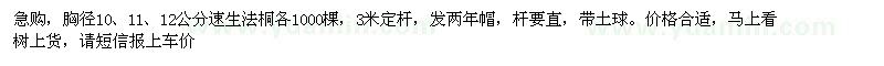 求購胸徑10、11、12公分速生法桐