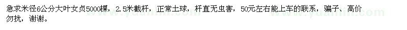 求購米徑6公分大葉女貞