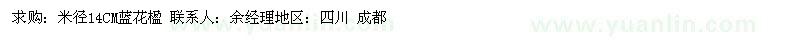 求購米徑14公分藍(lán)花楹