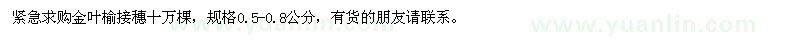 求購0.5-0.8公分金葉榆接穗