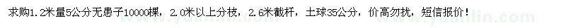 求購1.2米量5公分無患子