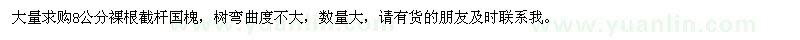 求購8公分國槐