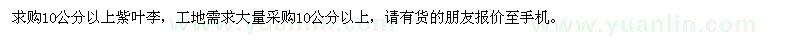 求購10公分以上紫葉李