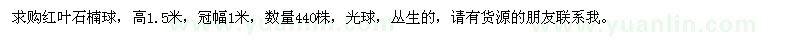 求購(gòu)高1.5米紅葉石楠球