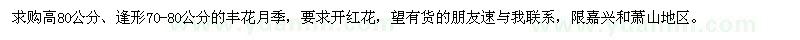 求購高80公分豐花月季