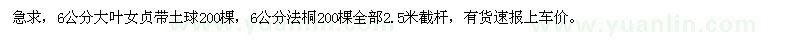求購6公分大葉女貞、法桐