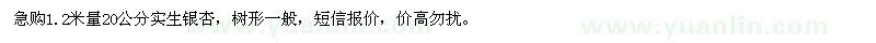 求購急1.2米量20公分銀杏