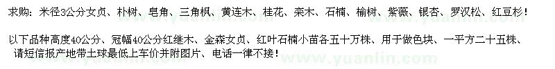 求購女貞、樸樹、皂角等
