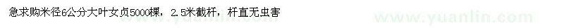 求購米徑6公分大葉女貞
