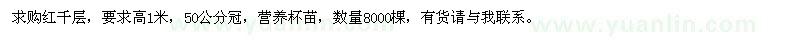 求購(gòu)高1米紅千層