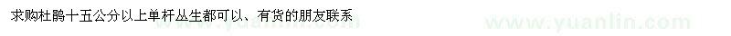 求購15公分以上杜鵑 