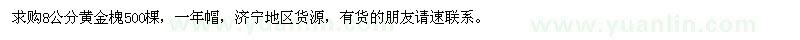 求購8公分黃金槐