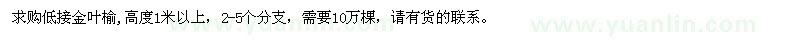 求購(gòu)高度1米以上低接金葉榆