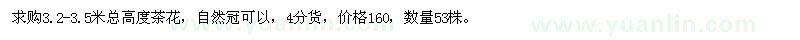 求購高3.2-3.5米茶花