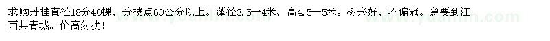 求購高4.5一5米丹桂