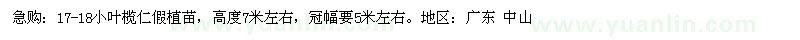 求購17-18公分小葉欖仁假植苗