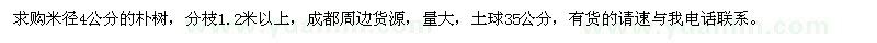 求購米徑4公分樸樹