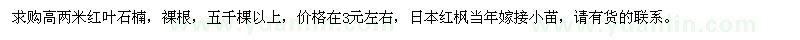 求購(gòu)高2米紅葉石楠、日本紅楓當(dāng)年嫁接小苗