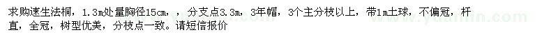 求購1.3米處量胸徑15公分速生法桐