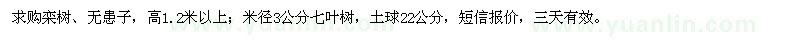 求購七葉樹(shù)、欒樹(shù)、無(wú)患子