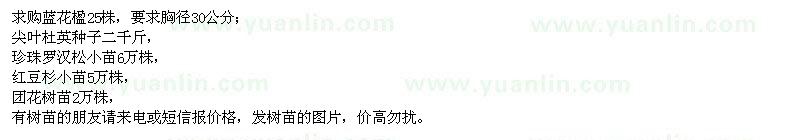 求購藍(lán)花楹、尖葉杜英種子、珍珠羅漢松小苗等