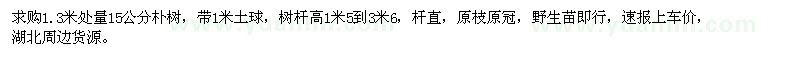 求購1.3米處量15公分樸樹(shù)
