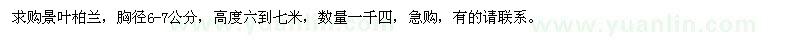 求購胸徑6-7公分景葉柏蘭