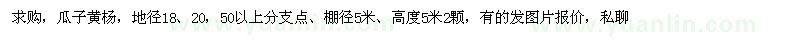 求購地徑18、20公分瓜子黃楊 