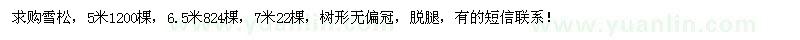 求購5米、6.5米、7米雪松