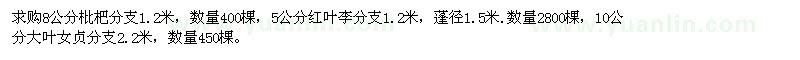 求購8公分枇杷、5公分紅葉李、10公分大葉女貞
