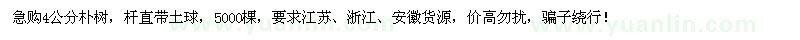 求購4公分樸樹(shù)