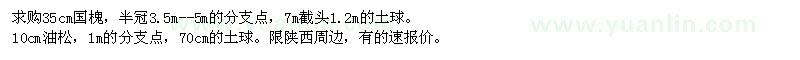 求購國槐、油松