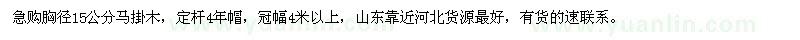 求購胸徑15公分馬掛木
