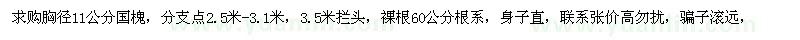 求購胸徑11公分國槐