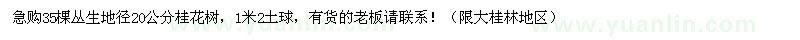 求購地徑20公分桂花樹(shù)