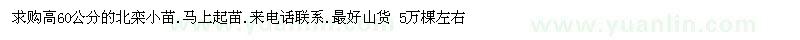 求購高60公分北欒小苗