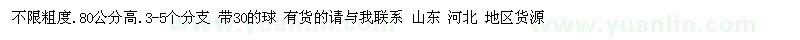 求購(gòu)80公分黃金槐