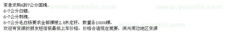 求購(gòu)國(guó)槐、白蠟、刺槐