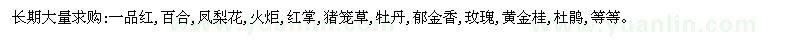 求購(gòu)一品紅、百合、鳳梨花