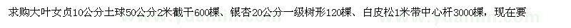 求購大葉女貞、銀杏、白皮松