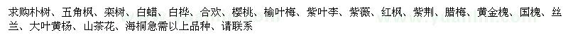 求購樸樹、五角楓、欒樹