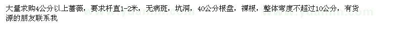 求購(gòu)4公分以上薔薇