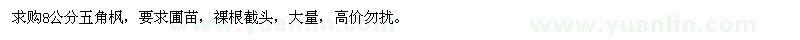 求購8公分五角楓