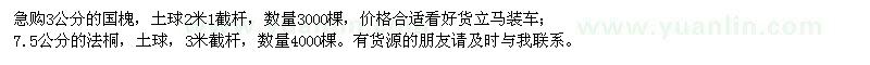求購國槐、法桐
