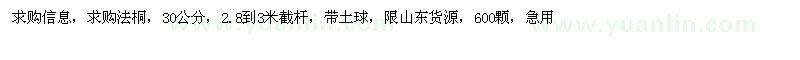 求購30公分法桐